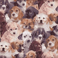 Dogs Unleashed Faces 33347