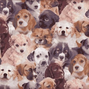 Dogs Unleashed Faces 33347