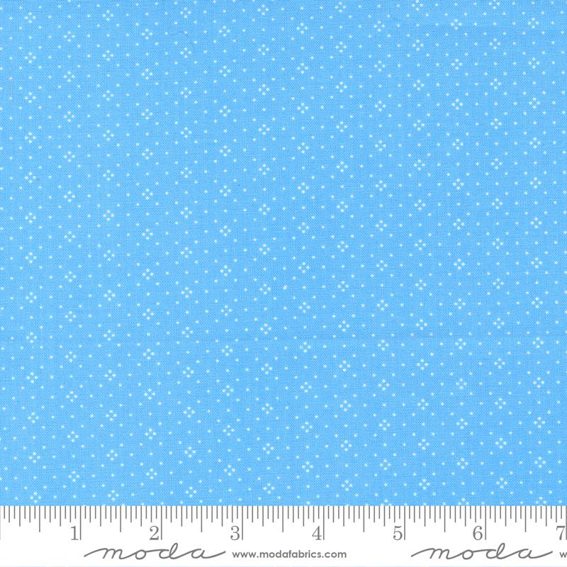 Eyelet Cornflower 20488 76