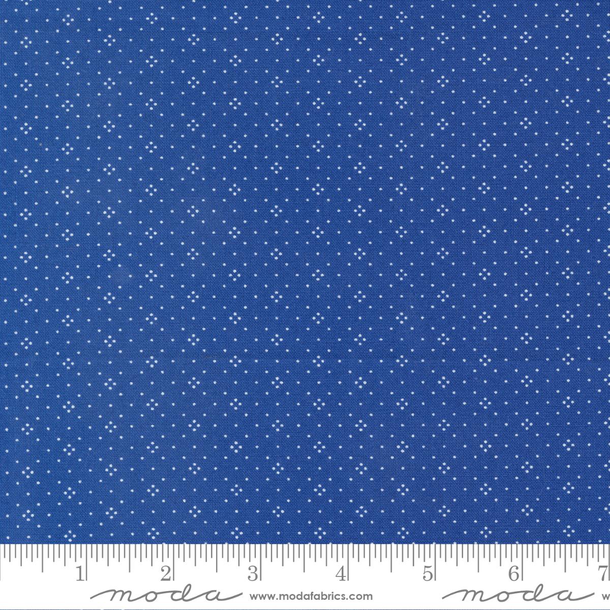 Eyelet Navy 20488 75