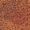 Fairy frost Coin/Copper CM0376-Coin