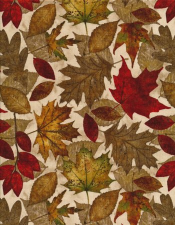 Fall Birchwood Large Tossed Leaves C6381 beige