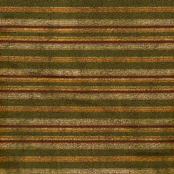Fall Birchwood Stripe C6382