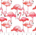 Flamingo Bay Pink Flamingos 24291 10 White