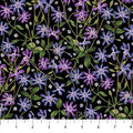 Fleurs Spring Florals DP23942 99 Black