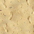 Footprints in the Sand 418 Sand