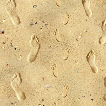 Footprints in the Sand 418 Sand