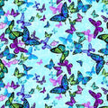 Forest Magic Butterflies CD8373 Aqua