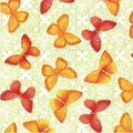 Fresh Butterflies 19287 17