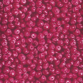 Fruit Cherries/Cranberries C6870