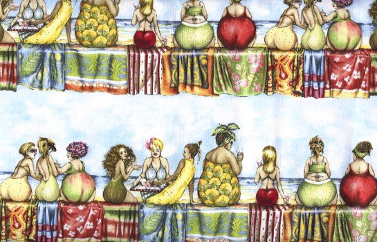 Fruit Ladies Border Stripe 1502 Blue