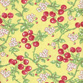 Fruit Salad Cherries 98520 573 Yellow