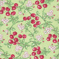 Fruit Salad Cherries 98520 773 Green