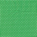 Gingham Dot Print - Kelly Green