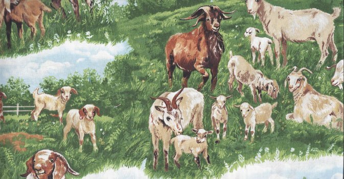 Goat Scenes C8139 Nature