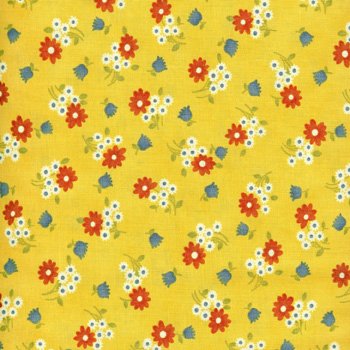 Happy Daisy  Daisy Yellow31063 15