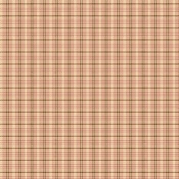 Homespun Cherry 8688 Y 22 Pink