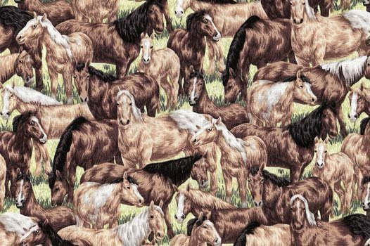 Horses 120 1781 Farm Living