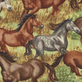 Horses Galloping C9266