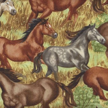 Horses Galloping C9266