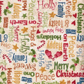 Hugs and Holly Words 22324 MUL