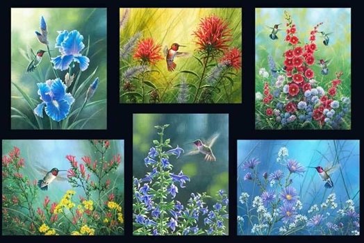 Humming Birds 04083 29" digital print panel