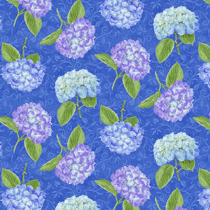 Hydrangea Birdsong 1760 77