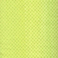 Hydrangea Grid Y0650-18 Lime