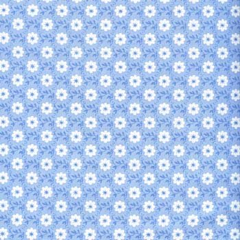 June Bug  Daisies Blue C7296