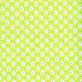 June Bug  Daisies Lime C7296