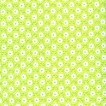 June Bug  Daisies Lime C7296