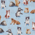 Kittens Allover 45617 B Blue