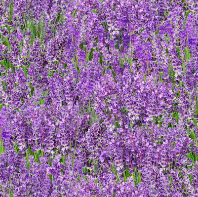 Landscape Medley ES572 Lavender
