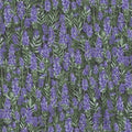 Lavender Farm Living 1871 Purple