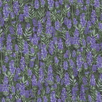 Lavender Farm Living 1871 Purple