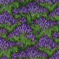 Lavender Fields CX0045 Lilac