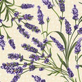 Lavender Sachet Lavender MASD10041 E
