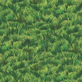 Lawn DC4015 Green