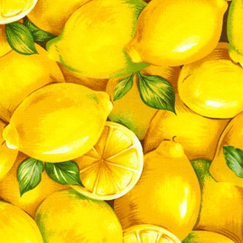 Lemons Farmer John’s Market 120 8171