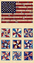 Libertyville Panel Flag and 9 blocks 23" x 44"  8705P 44 Cream