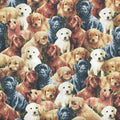 Lovable Labs Dog Faces 76572 SA Multi