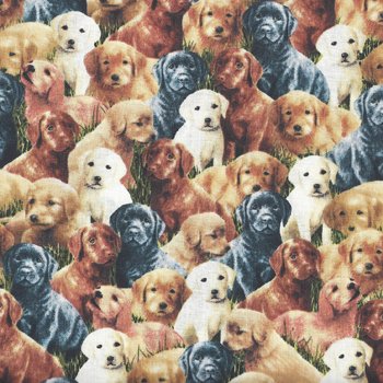 Lovable Labs Dog Faces 76572 SA Multi