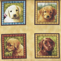 Lovable Labs Dogs Motifs 76633S Yellow panel