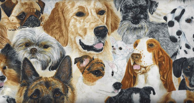 Man’s Best Friends Dogs 60310 9