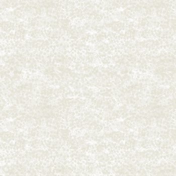 Matilija Poppy Dotted Blender 28704 K Cream