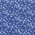McGregor’s Blueberries 22521 8
