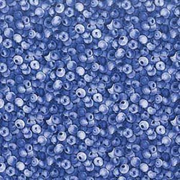McGregor’s Blueberries 22521 8