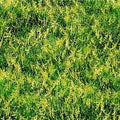 Meadow 94756 775 Green/yellow