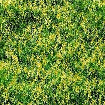 Meadow 94756 775 Green/yellow