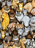 Meow Mix Tossed Colorful Cats 2363